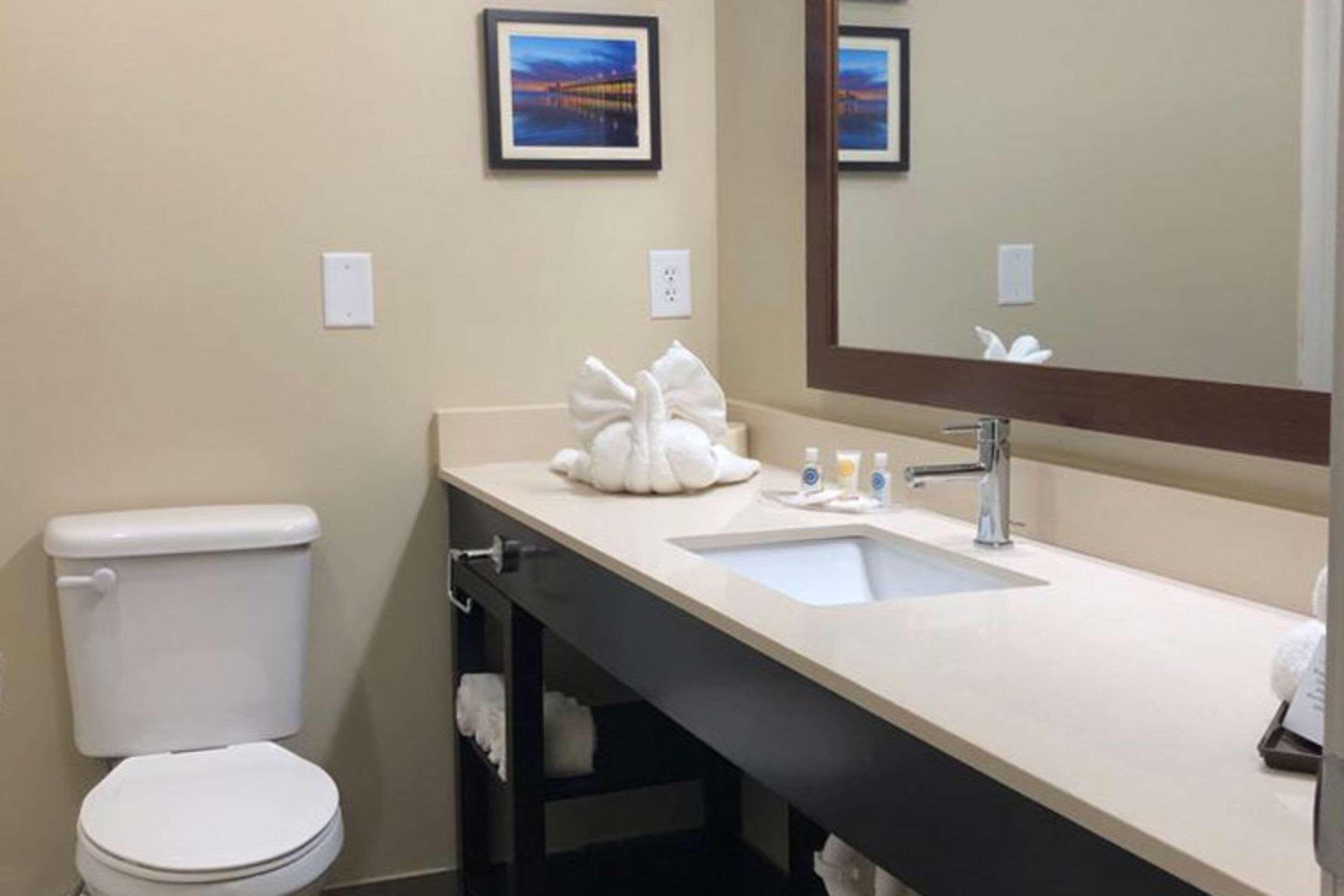 Comfort Suites Near Camp Lejeune Jacksonville Luaran gambar